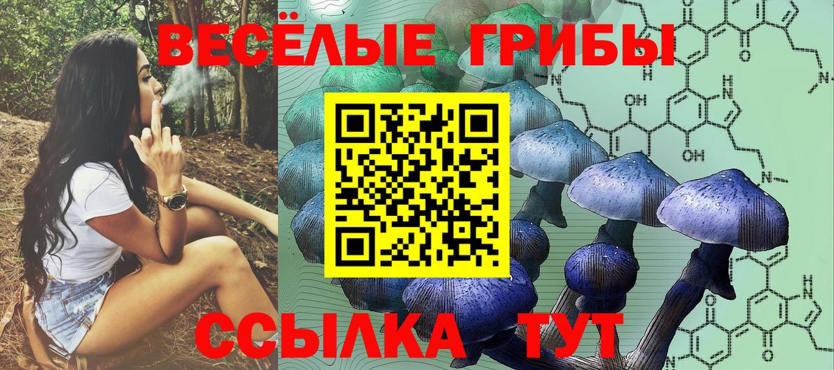 Ленинск-Кузнецкий  закладка  Галлюциногенные грибы MAGIC MUSHROOMS  Вход с VPN  Галлюциногенные грибы Psilocybine cubensis 