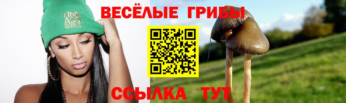 Псилоцибиновые грибы мухоморы Ленинск-Кузнецкий